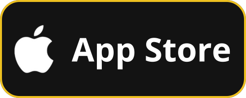 Bizco L Ingenieur De Poche